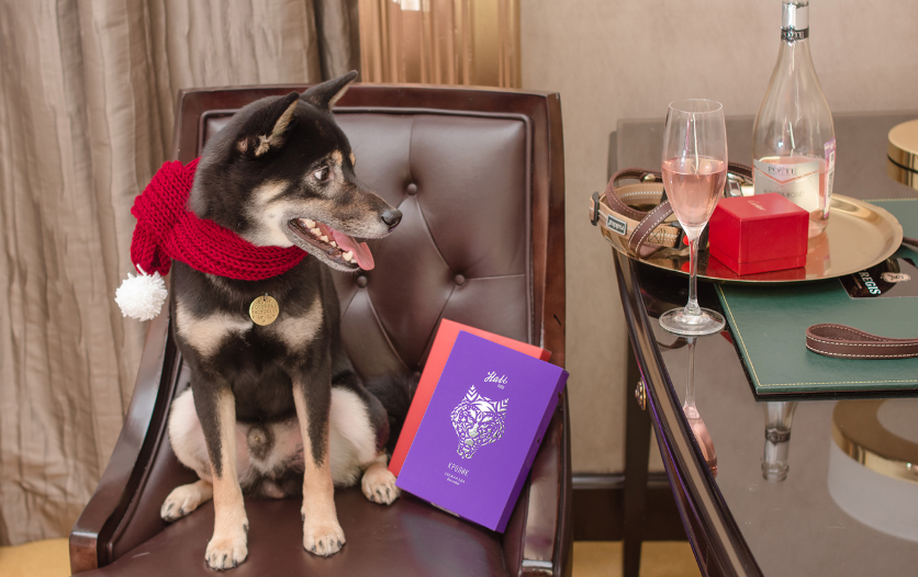 1565403205338900.png 09.png